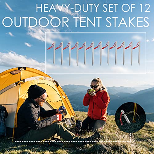 Heavy Duty Aluminum Tent Stakes - 12 Pack Silver Camping Pegs