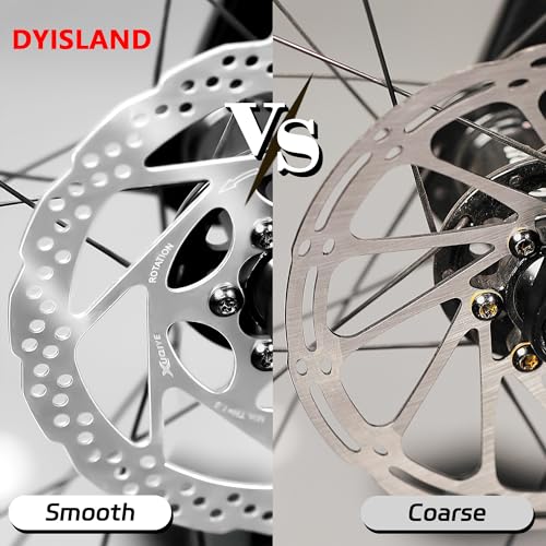 DYISLAND 160mm Disc Brake Rotor with 6 Bolts - Vacuum Coated, 1pc 160mm for MTB/Road/BMX