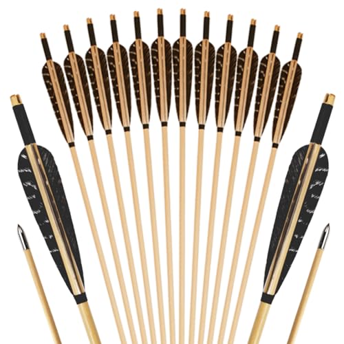 Luoyer Nature 12 Pcs Wooden Archery Arrows with Feathers 31 Inch Traditional Bow