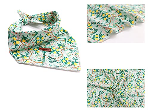 Washable Cotton Dog Bandana - Large - Lemon Blossom