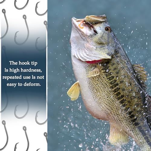 High-Carbon Steel Circle Fishing Hooks - 2/0 Size - 10 Pack