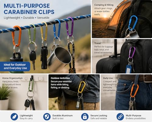 IEBUOBO Multicolor Locking Carabiner Clips 3 Inch Keychain Hooks - A-Multicolored 10 Pack