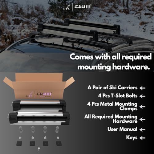 Universal Ski Rack for Car Roof - Holds 6 Pairs of Skis or 4 Snowboards - Silver