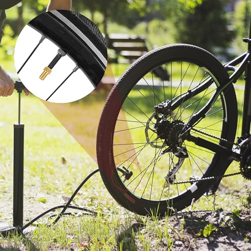 Quacc 4 PCS Universal Ball Pump Needles Bike Inflatable Adapter Set