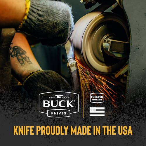 Buck Knives 110 Folding Hunter LT Knife, 3-3/4" Blade, Lockback Design, Nylon Handle, 420HC Stainless Steel Clip Point Blade, Sheath Included, Hunting Knife Made in the USA, 3.2 oz