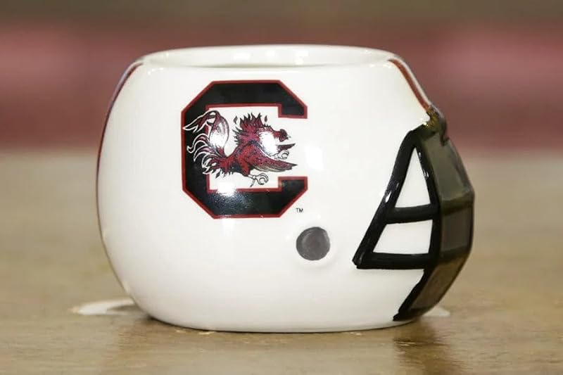 South Carolina Gamecocks Ceramic Helmet Caddy Planter