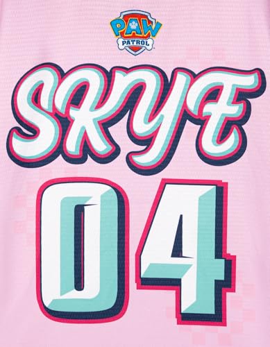 Paw Patrol Toddler Pink Mesh Soccer Jersey Skye 4T Athletic T-Shirt for Kids