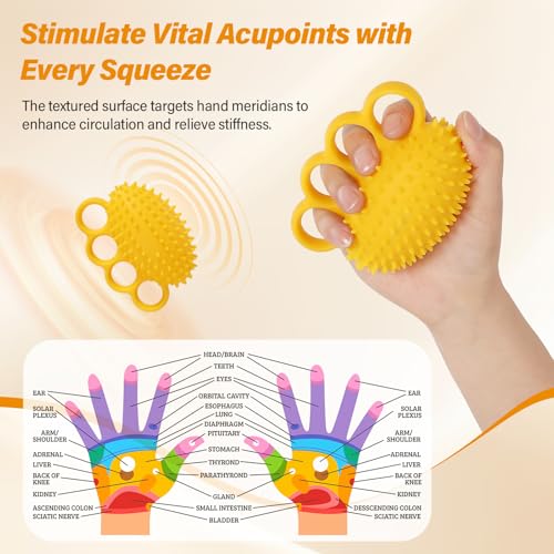 Fanwer Hand Exercise Squeeze Balls for Therapy, Grip Strength Trainer