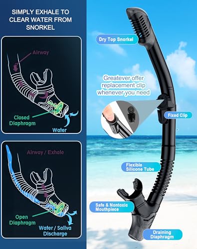 Dry Snorkel Mask Set for Adults & Kids - Black, Large