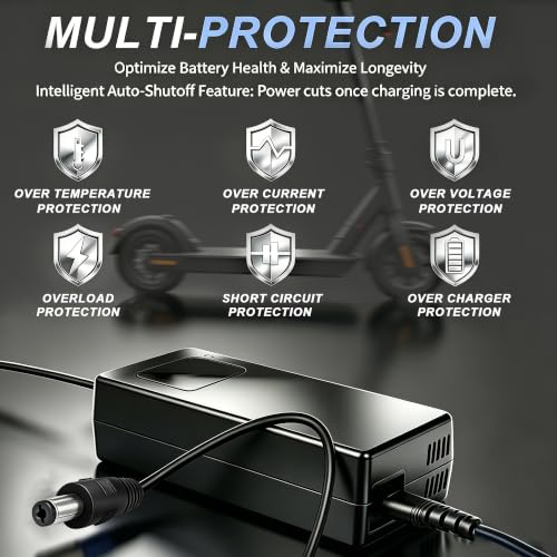 42V 2A Lithium Battery Charger for 10S 36V E-Bike & Scooter Batteries
