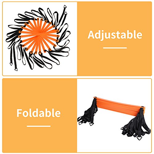 Agility Ladder and Cones Set - 20 Feet with 12 Rungs, Carry Bag & 10 Cones
