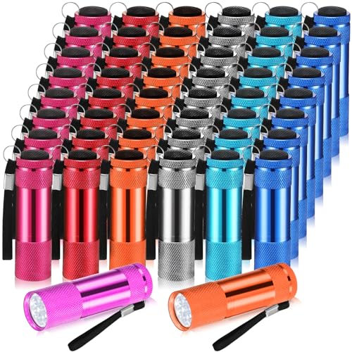 VIHOSE 48 Pcs Mini Flashlights Bulk, Bright Aluminum Handheld Flash Light with Lanyard, Small LED Flashlights for Kids Night Reading Emergency Hurricane Camping Hiking Party Favors(Bright Color)