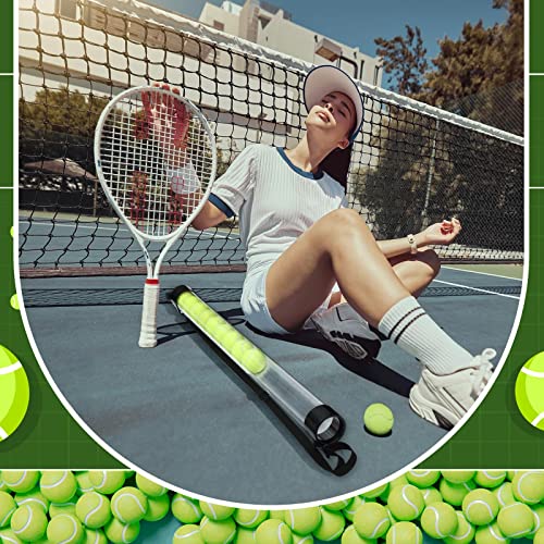 Tennis Ball Pickup Tube - 2 Pack with Shoulder Strap - Clear