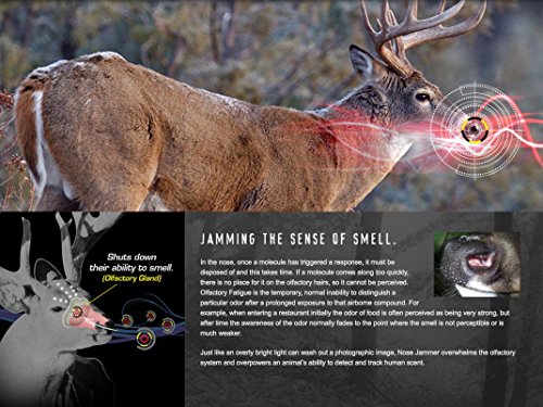 Nose Jammer Gear-N-Rear Hunting Wipes - 20 Scent-Free Field Wipes