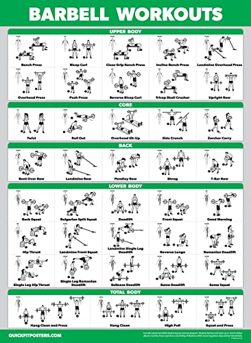 Muscle Workout Charts Set - 4 Laminated Posters 18" x 24"