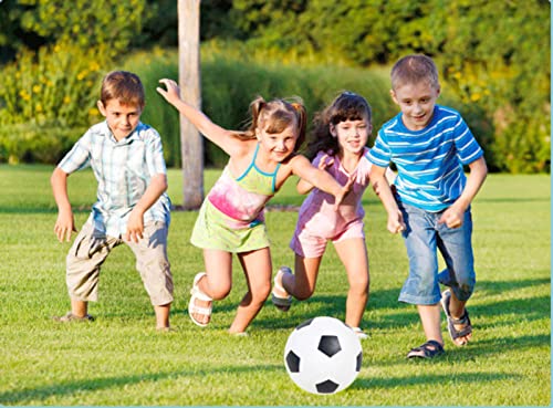 Soccer Basketball Football Small Sports Bouncy Balls with Hand Pump