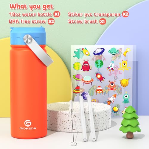 Kids Stainless Steel Water Bottle 18oz with Leak-Proof Straw & Dust Cover