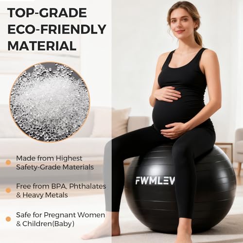 Extra Thick Anti-Burst Yoga Ball - 65cm Stability Ball for Fitness, Core Workout & Office Use