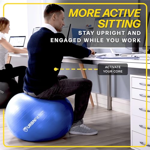 Exercise Ball - 65cm Anti-Burst Yoga Ball for Workout & Pregnancy - Black