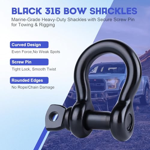 1/4 Inch Black 316 Stainless Steel D-Ring Shackle - Marine Grade