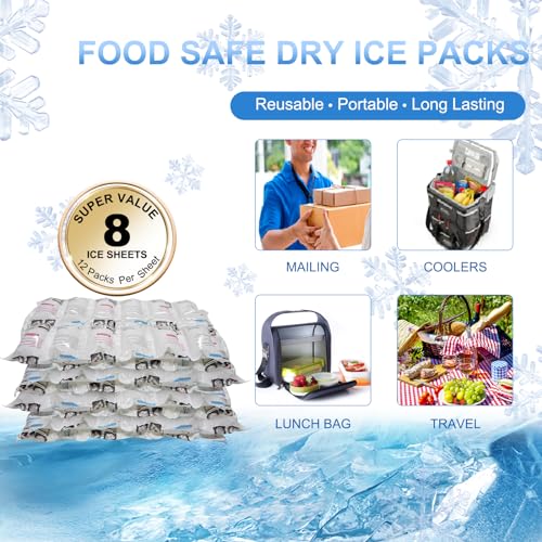 Dry Ice Packs for Shipping - 8 Sheets with 12 Cells Each