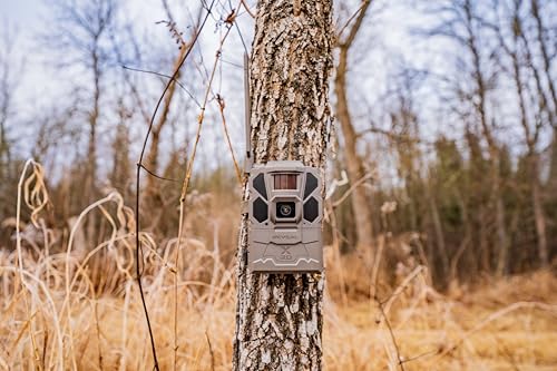 Cellular Trail Camera with Night Vision - 1 Pack