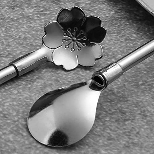 Reusable Stainless Steel Straws & Spoon Set - 6 Pieces Circular