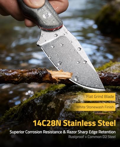 CVLIFE Grey 3.14-inch Fixed Blade EDC Camping Knife with Kydex Sheath