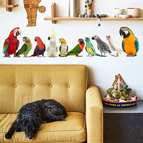 Removable 3D Exotic Pet Birds Wall Stickers, Parakeet Macaw Parrot Wall Decals, Peel and Stick Living Room Kids Bedroom Office Wall Decor