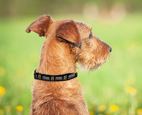 Las Vegas Golden Knights Dog Collar - Medium (12-18" L x 0.62" W)