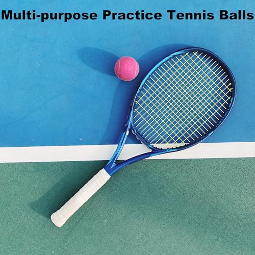 High-Visibility Tennis Balls - 4 Pack for Training & Dog Play - Orange