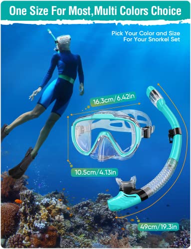 Snorkeling Gear Set for Adults - Anti-Fog Mask & Dry Top Snorkel - Z-Black/Green Transparent