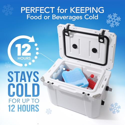 Everlasting Ice RX Large Reusable Cooler Ice Packs 4 Pack with Handle - Long Lasting, BPA Free, Extended Cooling for Camping, Fishing, Beach