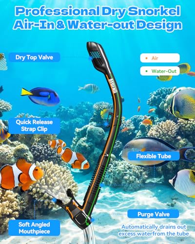 Snorkeling Gear Set for Adults - Dry Top Snorkel & Mask - Carbon Black