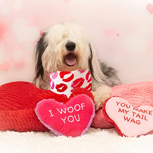 Valentine's Day Pet Bandana Set - Heart & Kiss Print - Large