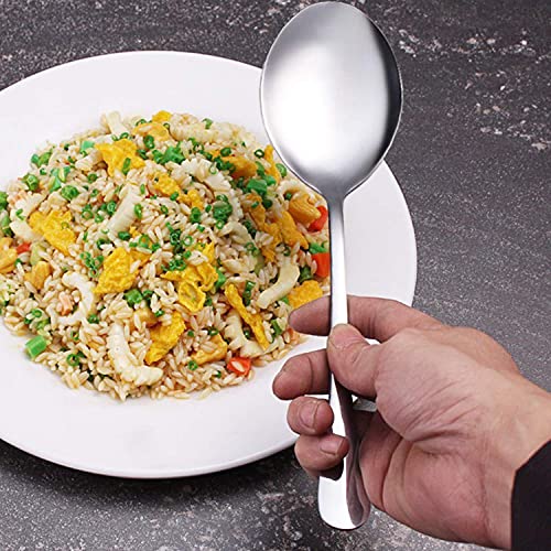 AOOSY 6-Pack Large Serving Spoons 9.8in Buffet Utensils Silver