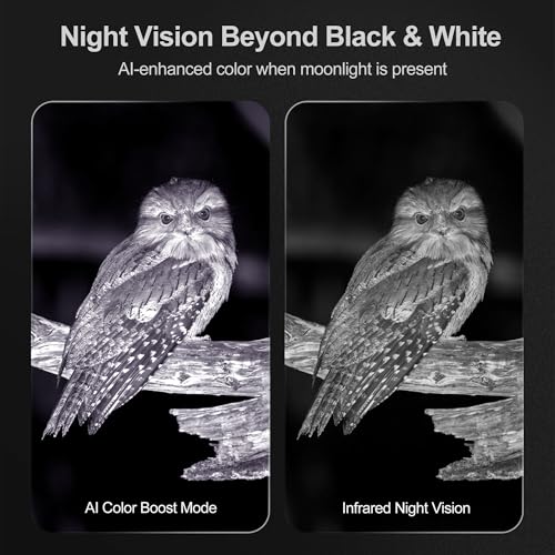 4K Night Vision Binoculars - Night Thunder X3 - Lunar Silver