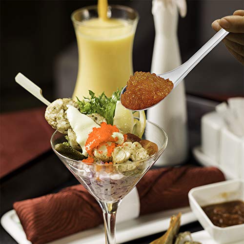Stainless Steel Spherification Spoon Set of 2 - Silver