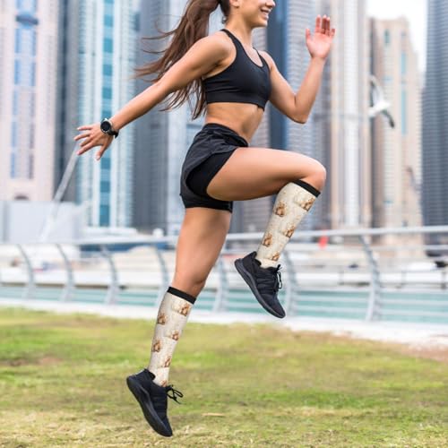 Compression Socks for Men & Women - Knee High Support - One Size Bear