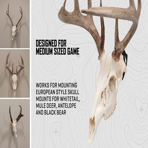 Allen Company EZ Mount Skull Peg Hook, Black