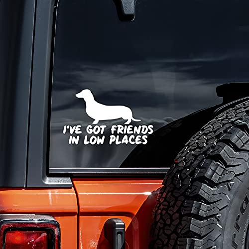 Dachshund Decal Vinyl Sticker - Friends in Low Places - 5.5" x 3"