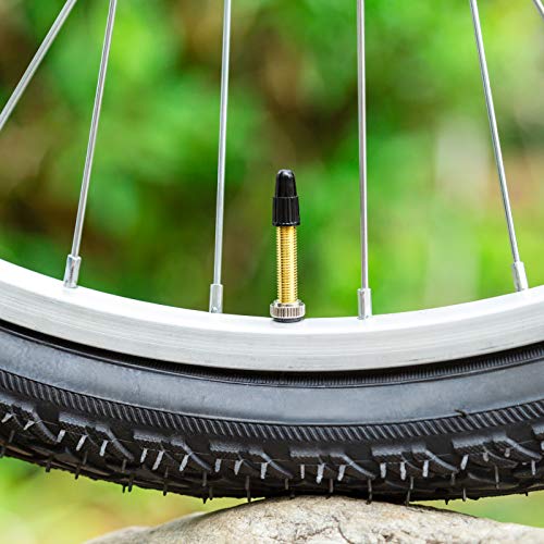 Brass Tubeless Valve Stems with Valve Core Remover Tool - Gold, 40mm