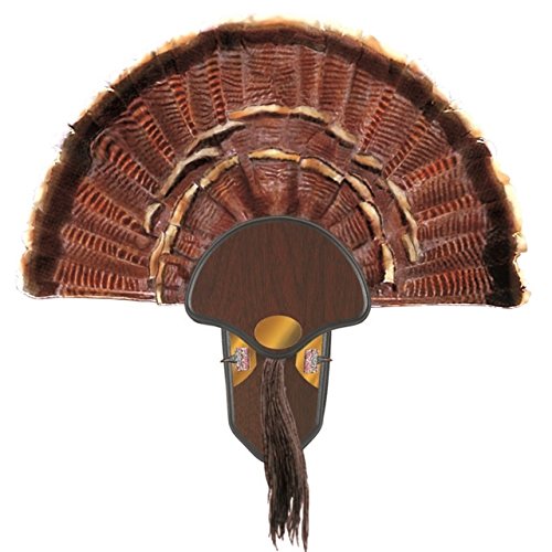 Allen Company Hunting Turkey Tail Fan Mounting Kit, Wood