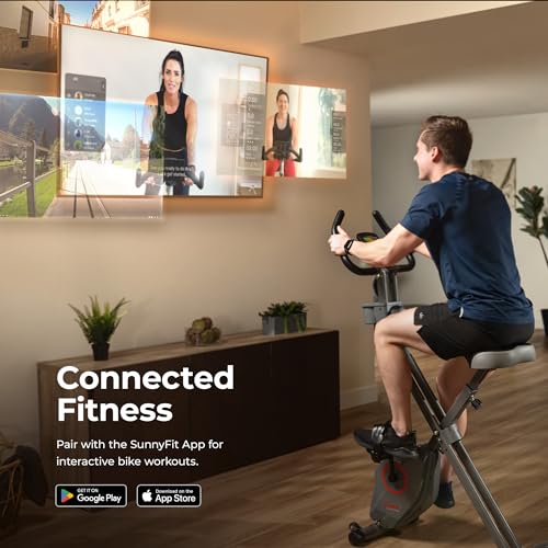 Foldable Magnetic X-Bike for Low-Impact Workouts - Grey