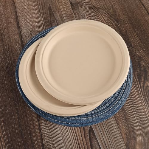 BETAWORLD 9-Inch Compostable Sugarcane Bagasse Plates 125 Pack - Heavy Duty, Leakproof, Microwave Safe, Eco-Friendly Disposable Dinnerware for Parties & Events