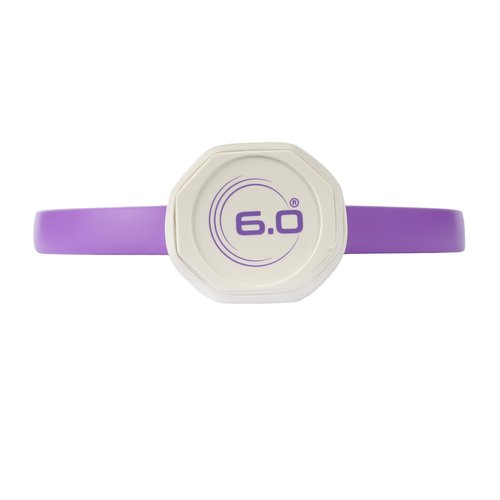 Six Zero Quartz Pickleball Paddle - Affordable, Premium Construction, Raw Carbon (Amethyst)