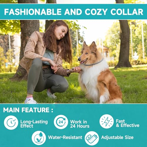 Flea & Tick Collar for Dogs – 4-Pack, 32 Months Protection, Adjustable