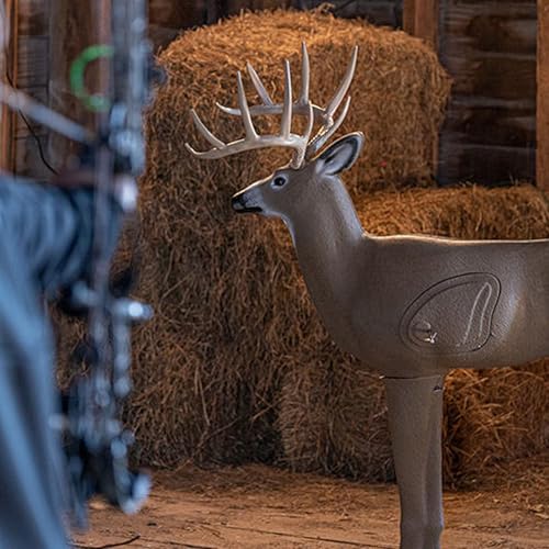 3D Archery Target - Realistic Buck Design, Weather-Resistant Foam