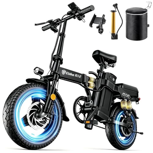 Foldable Electric Bike with 2000W Motor, 52V 25Ah Battery