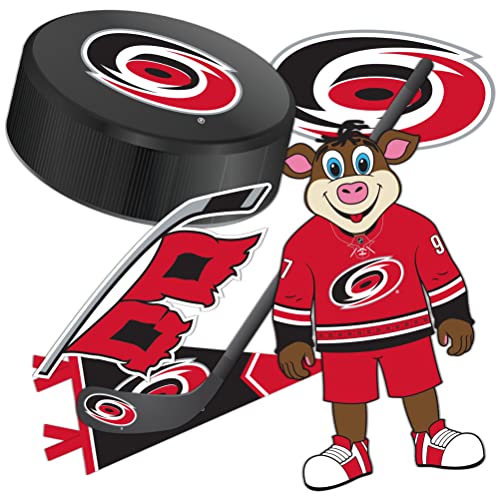 Desert Cactus Carolina Hurricanes Team NHL National Hockey League Sticker Vinyl Decal Laptop Water Bottle Car Scrapbook (Type 2)